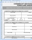 Formulaire unique création d'entreprise CFCE